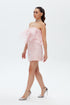 FLOUNCE DETAILED LACE MINI DRESS